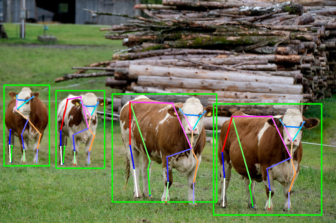 AnimalPose : Pose Esimation for Animals