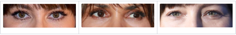 ax Facial Features: Eyelids, Eyelashes and Facial Hair Classification