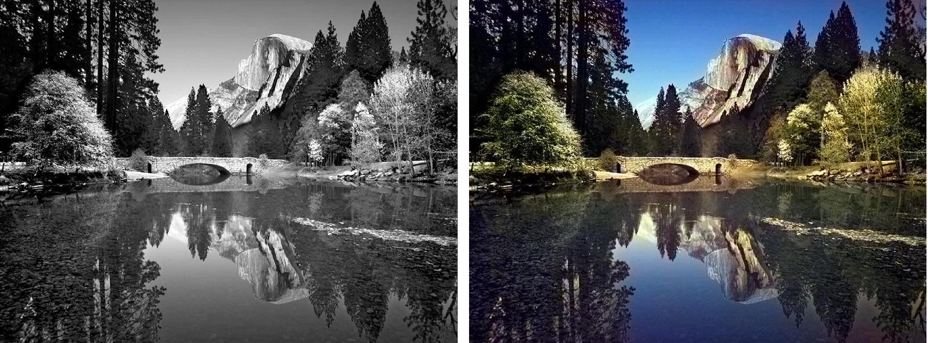 Colorization : A Machine Learning Model for Colorizing Black and White Images