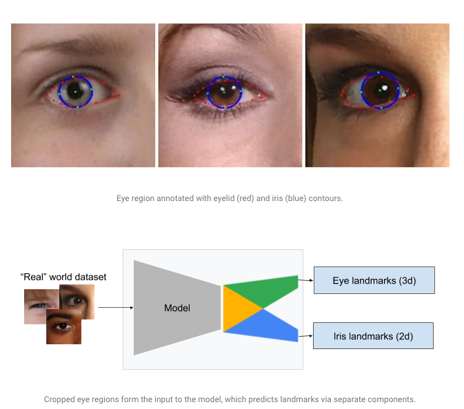 MediaPipe Iris: Detecting Key Points in the Eye