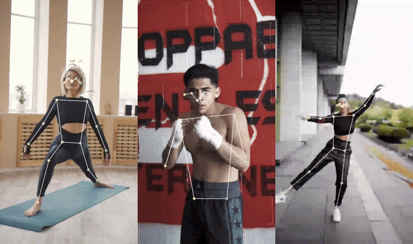 MoveNet : Pose Estimation for Video with Intense Motion